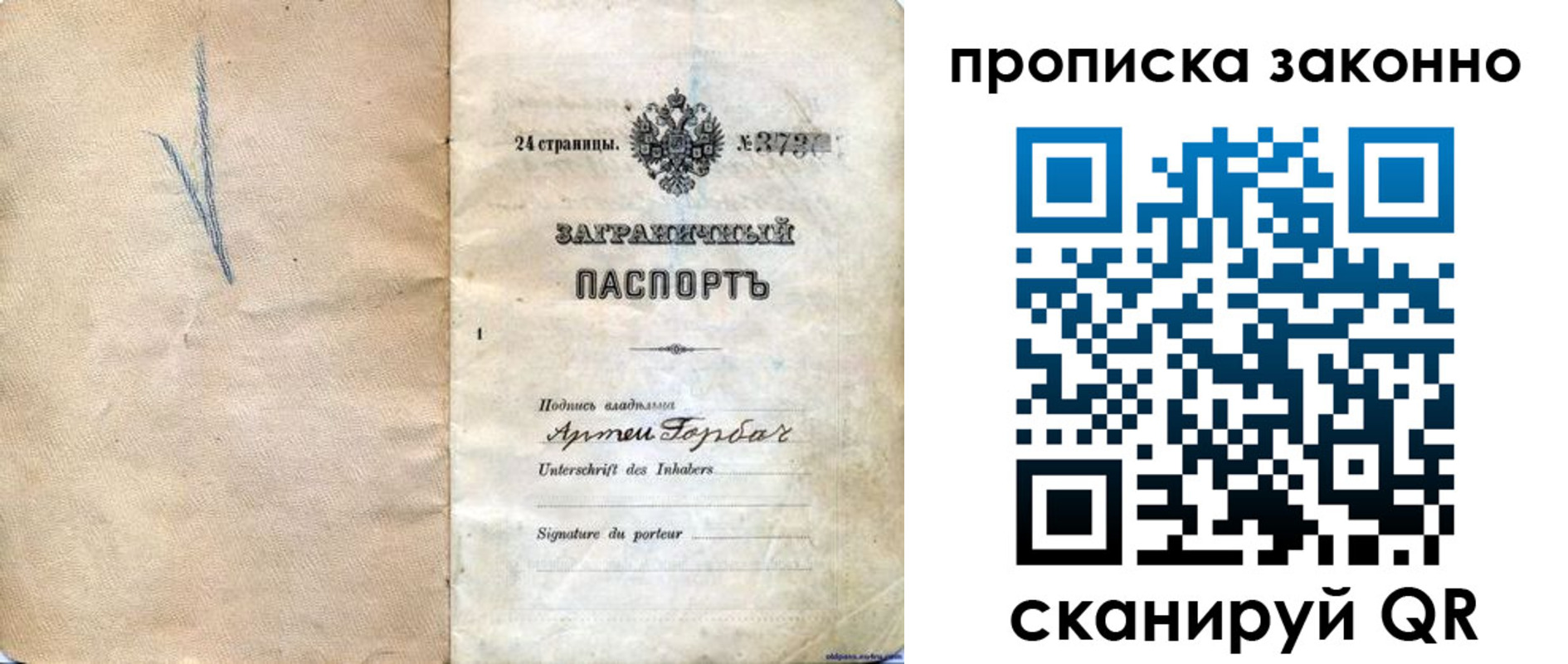 прописка 2025 в Дмитрове